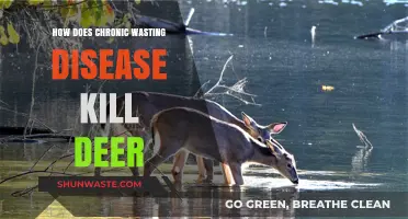 Chronic Wasting Disease: Understanding the Deadly Impact on Deer Populations