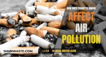 Cigarette Smoke: Air Pollution's Deadly Impact