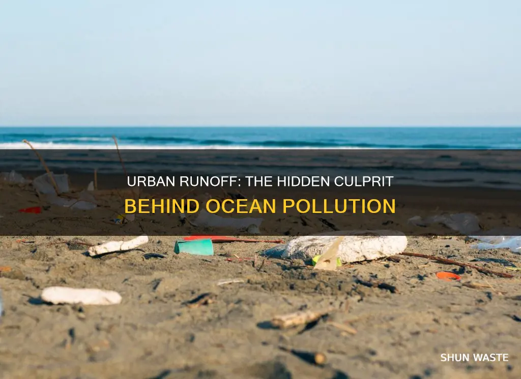 how does cities cause ocean pollution