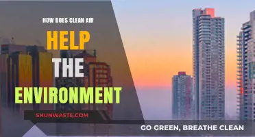 Clean Air's Impact: Environmental Benefits and Sustainable Living Solutions