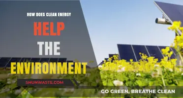 Clean Energy's Environmental Impact: Reducing Pollution and Preserving Ecosystems