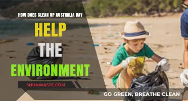 Clean Up Australia Day: Environmental Impact and Community Action Explained