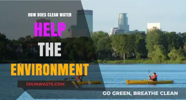 Clean Water's Vital Role in Sustaining a Healthy Environment