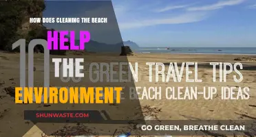 Cleaning Beaches: Protecting Wildlife, Preserving Ecosystems, and Saving Our Oceans