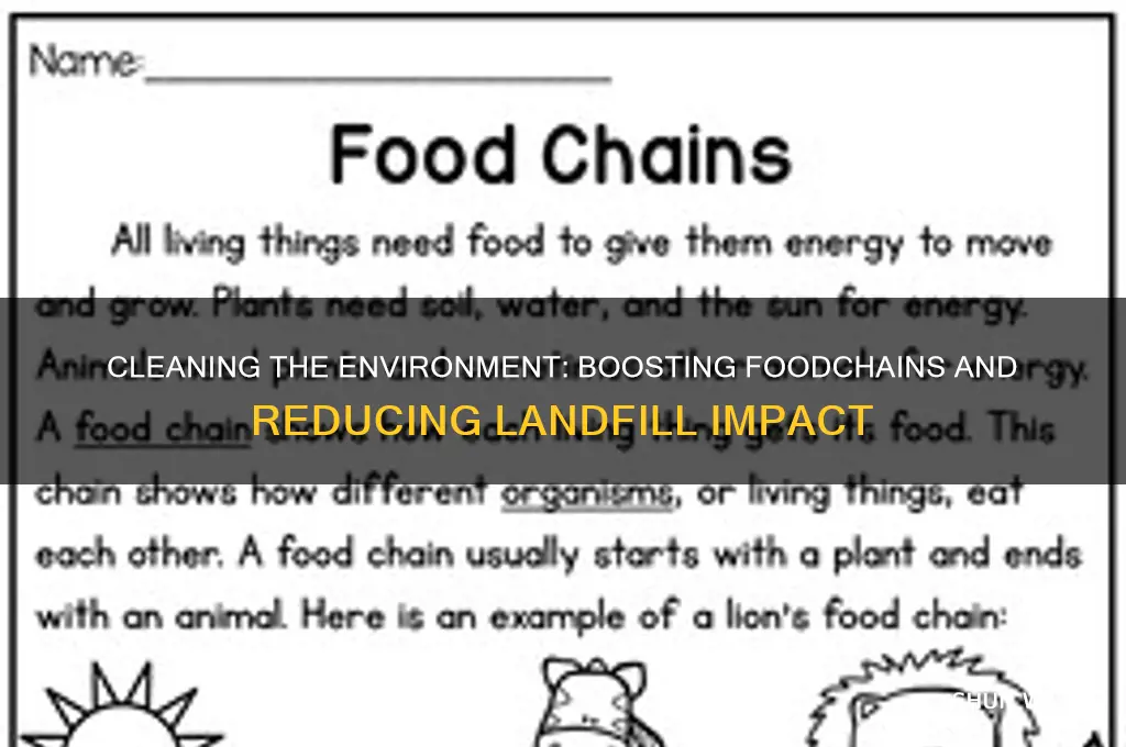 how does cleaning the environment help foodchains and landfills