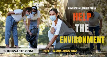 Cleaning Trash: A Simple Act with Big Environmental Benefits