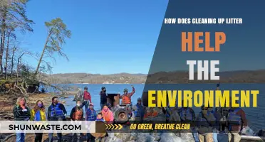 Cleaning Up Litter: A Simple Act with Big Environmental Benefits