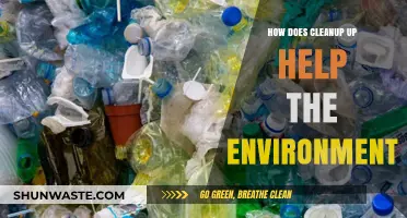 Cleaning Up: How Small Actions Lead to Big Environmental Impact