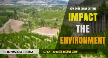 Clear Cutting's Devastating Environmental Impact: Loss, Erosion, and Biodiversity Decline