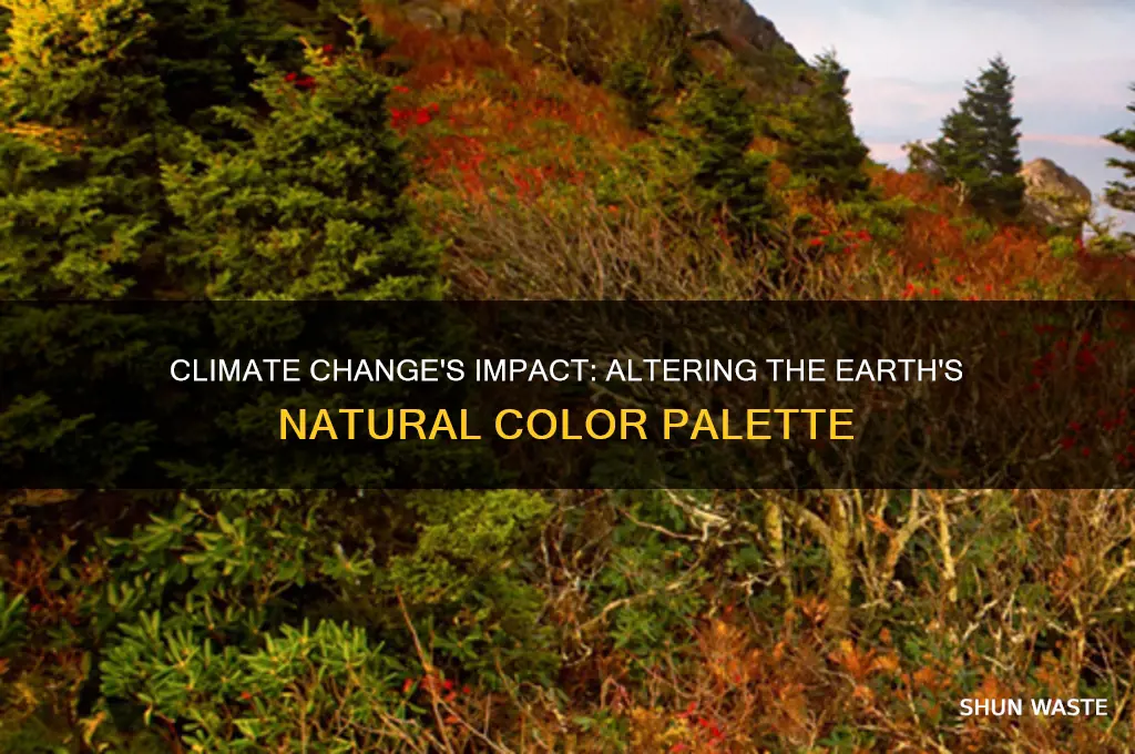 how does climate change affect environment color