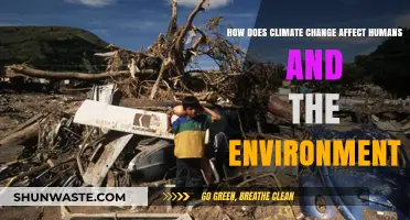 Climate Change Impacts: Human Lives and Environmental Consequences Explored