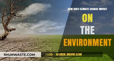 Climate Change's Devastating Effects on Our Environment: A Comprehensive Overview