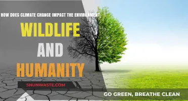 Climate Change's Devastating Effects on Wildlife, Environment, and Humanity
