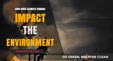 Climate Change's Devastating Effects on Our Environment: A Comprehensive Overview