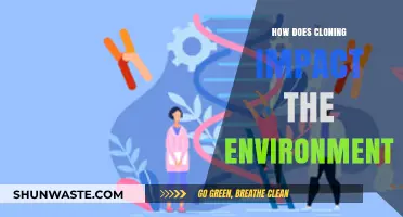 Cloning's Environmental Footprint: Unveiling Ecological Impacts and Sustainability Concerns