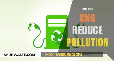 CNG: A Cleaner Fuel Option to Reduce Pollution