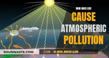 The Impact of CO2: Understanding Atmospheric Pollution