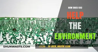 CO2's Surprising Role: Boosting Plant Growth and Ecosystem Balance