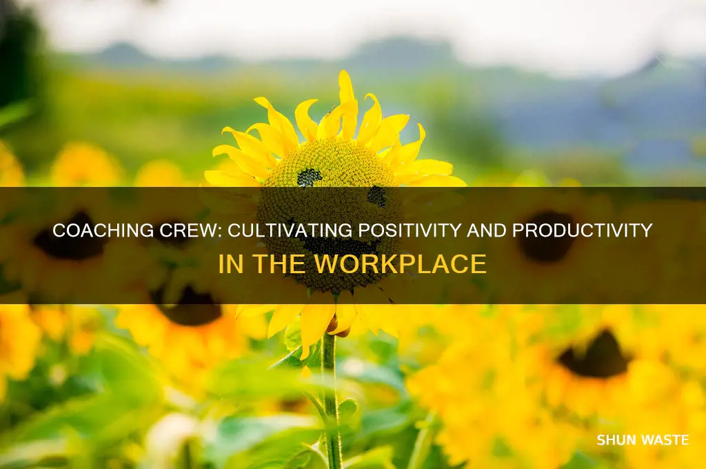 how does coaching crew promote a positive work environment