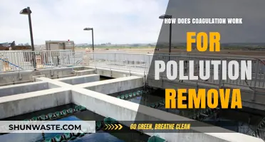 Coagulation: Pollution Removal's Secret Weapon