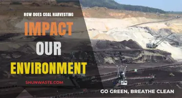 Coal Harvesting's Environmental Impact: Pollution, Climate Change, and Ecosystem Destruction
