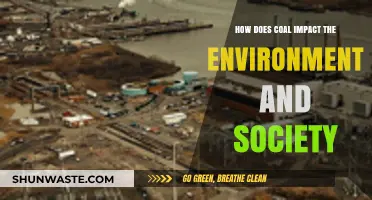 Coal's Environmental and Social Impact: A Comprehensive Analysis