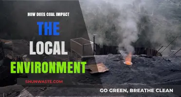 Coal's Local Environmental Impact: Pollution, Health, and Ecosystem Destruction