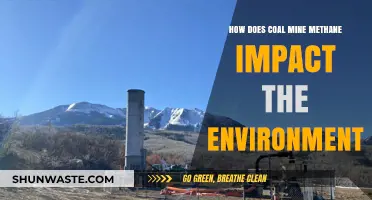 Coal Mine Methane's Environmental Impact: Climate, Air, and Ecosystem Effects