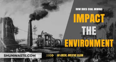 Coal Mining's Devastating Environmental Impact: Pollution, Habitat Loss, and Climate Change