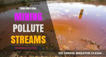 Coal Mining's Stream Pollution: Understanding the Devastating Impact