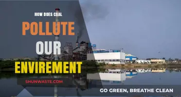 Coal's Dark Side: Environmental Pollution and its Impact