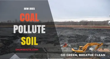 Coal's Soil Pollution: A Hidden Environmental Disaster