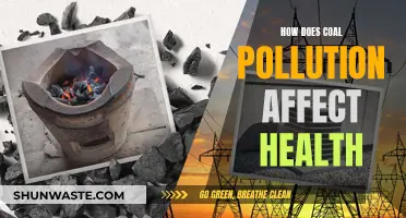 Coal Pollution: A Health Hazard and Its Impact