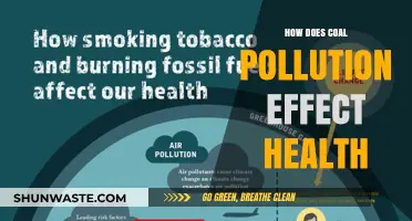 Coal Pollution: A Health Crisis