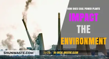 Coal Power Plants: Environmental Impacts and Ecological Consequences Explained