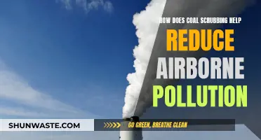 Coal Scrubbing: Reducing Airborne Pollution and Saving the Environment