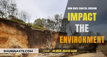 Coastal Erosion's Devastating Effects on Ecosystems and Shorelines Explained