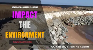 Coastal Flooding's Devastating Environmental Impacts: Causes, Effects, and Solutions