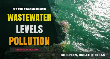 Coca-Cola's Wastewater Treatment: Pollution Measurement Strategies