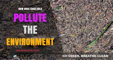 Coca-Cola's Environmental Impact: Pollution and Its Consequences