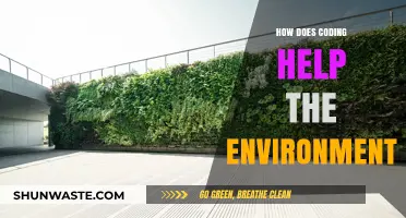 Coding for a Greener Future: How Technology Helps the Environment