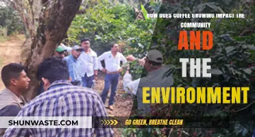 Coffee Cultivation: Community Benefits and Environmental Challenges Explored
