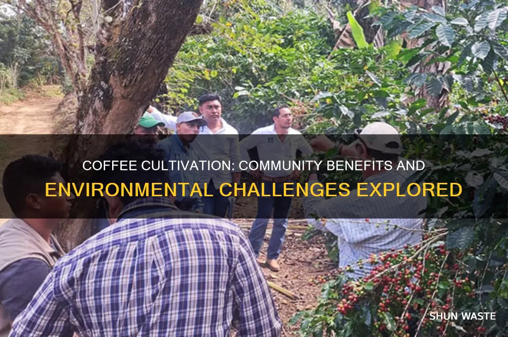 how does coffee growing impact the community and the environment