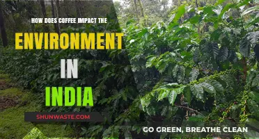 Coffee's Ecological Footprint: Environmental Impacts in India's Coffee Sector