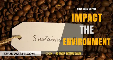Coffee's Environmental Footprint: Exploring Its Impact on Our Planet