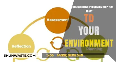 Cognitive Processes: Your Key to Adapting and Thriving in Any Environment