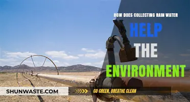 Harvesting Rainwater: Eco-Friendly Benefits for a Sustainable Future