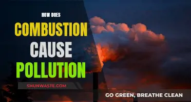 Combustion's Impact: Unveiling the Pollution Generation Process