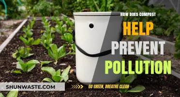 Composting: Reducing Pollution, Improving Soil Health