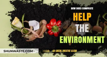 Composting Benefits: How Organic Waste Reduces Pollution and Enriches Soil